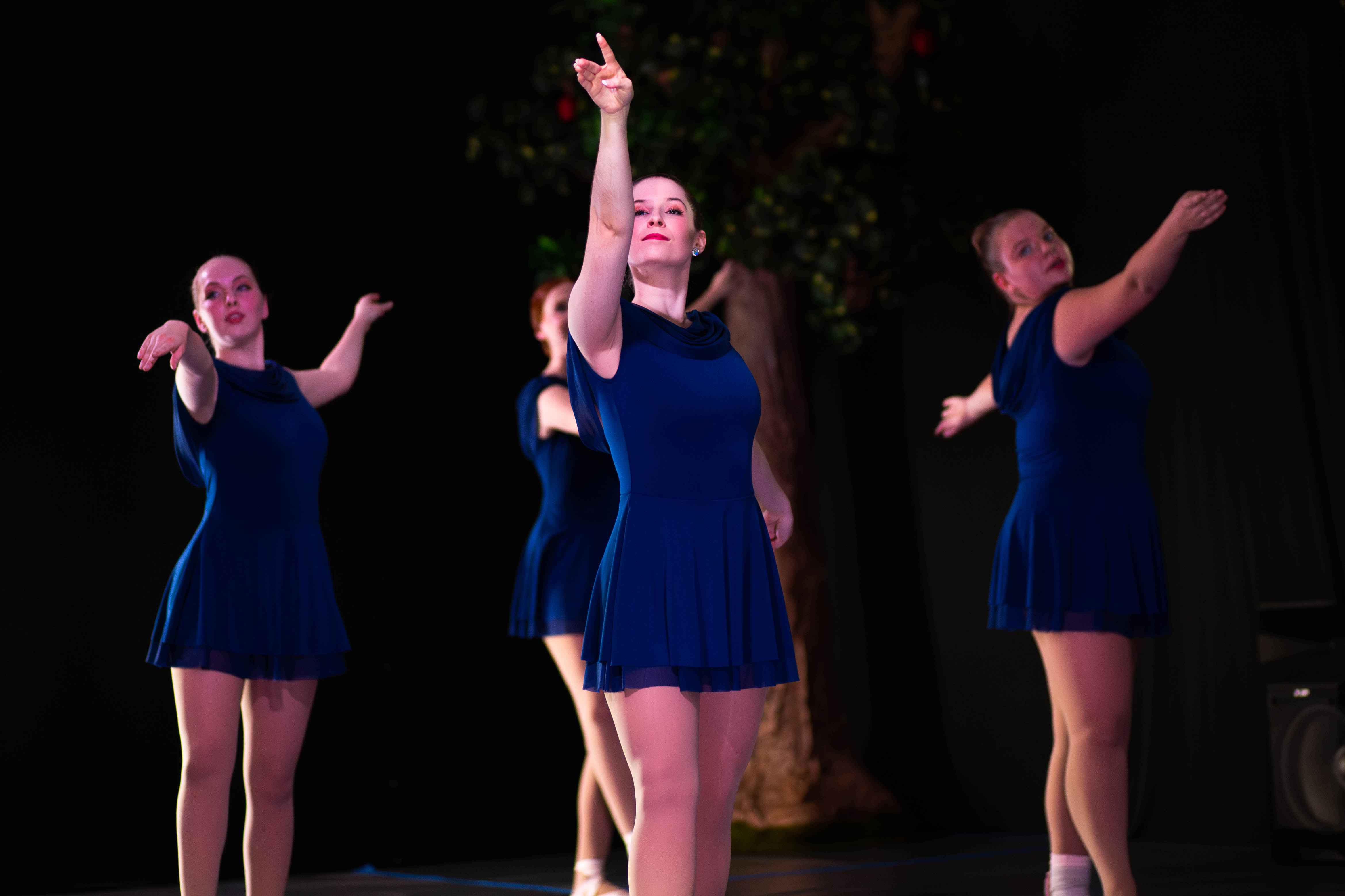 Apologia Dance & Martial Arts, Myrtle Beach Partner Dancing